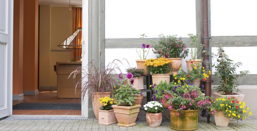 Gda Hotel Schwiecheldthaus Goslar Ngoại thất bức ảnh